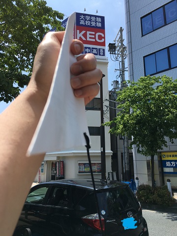 クヌギ産卵木 6本入 直径約7～8㎝ Sサイズ 九州産 椎茸 ホダ木